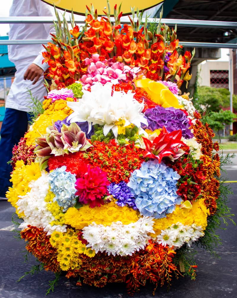 Silleta Tradicional exela